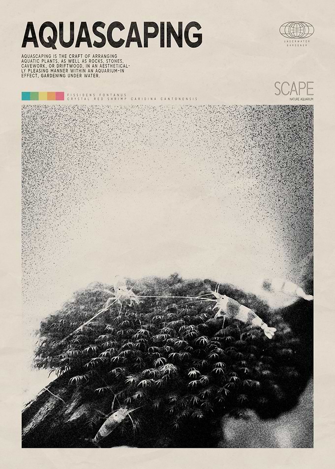 Aquascaping Planted Aquarium Poster