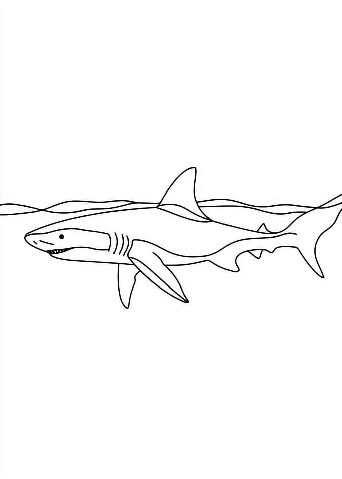 Shark Line Drawing
