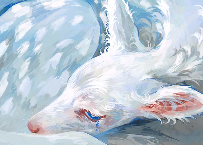 White Fawn