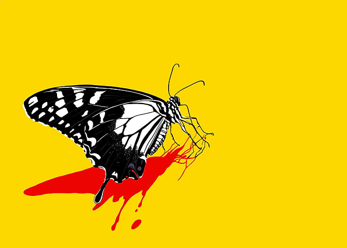 Black and White Butterfly with Blood