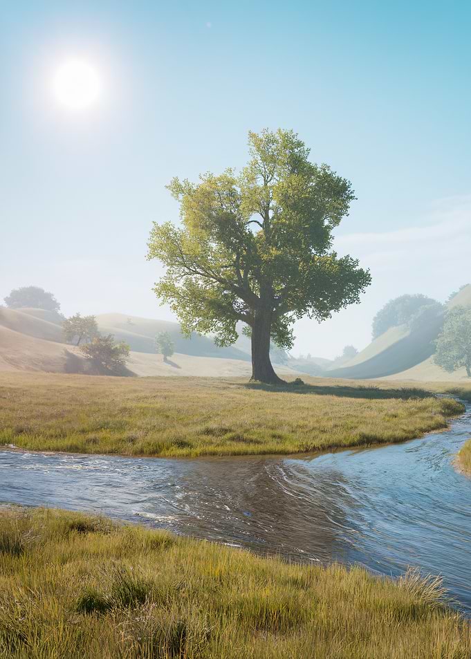 Tree in Solitude