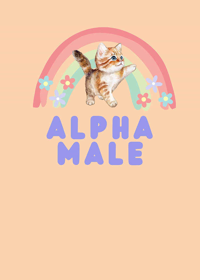 Alpha Male Kitten