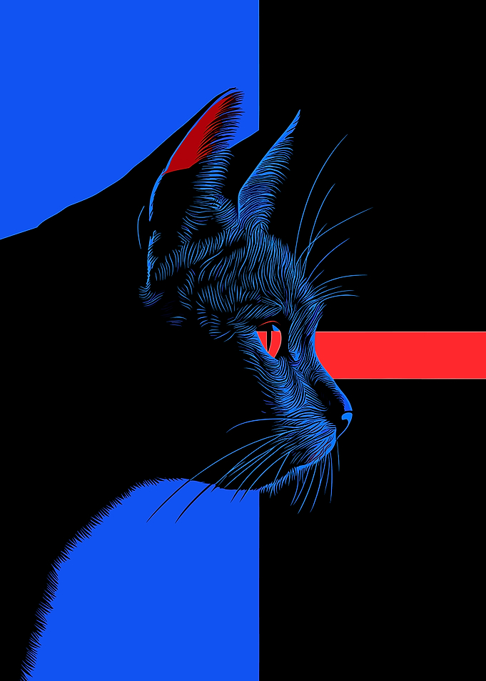 Cat in Blue and Black