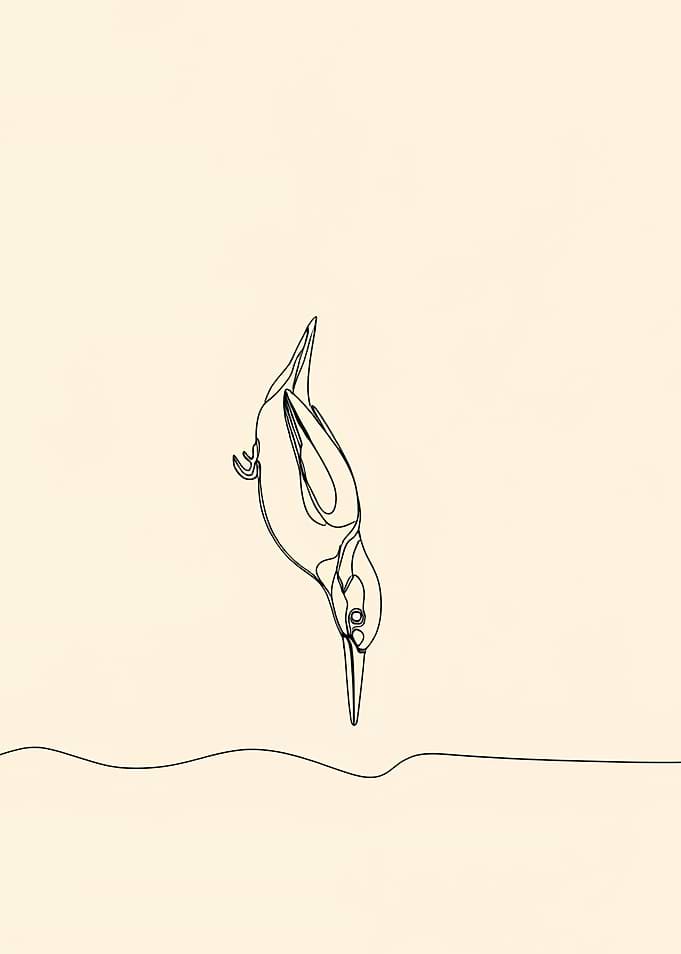 Kingfisher Minimalist Line Art