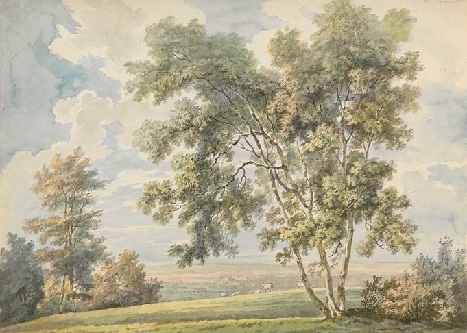 Watercolor Landscape with Trees