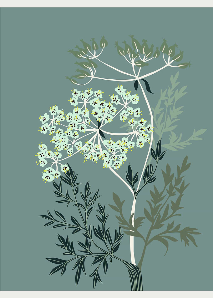 Nordic ease Queen Anne´s lace
