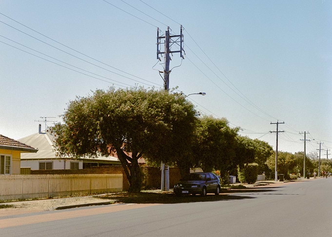 Suburban Fever Dream