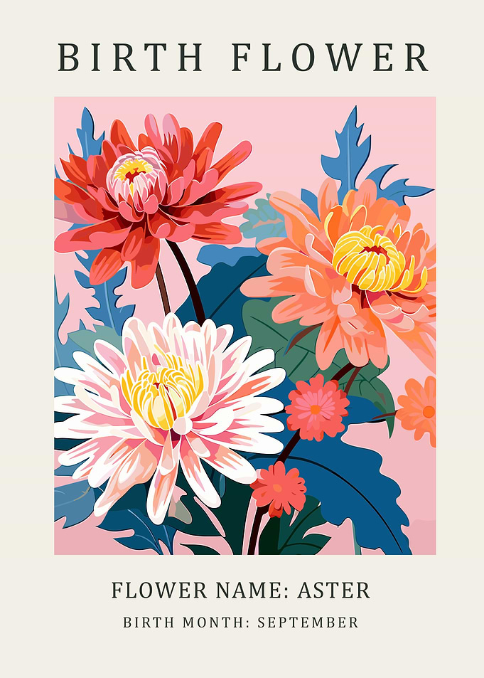 September Birth Flower: Aster