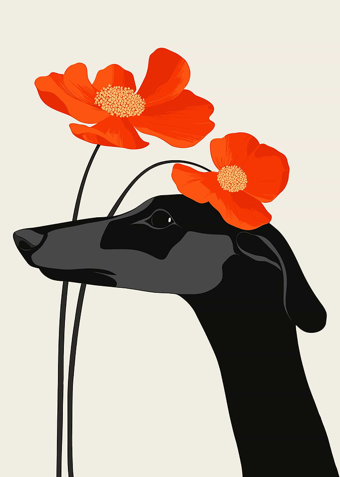 Greyhound with Poppies