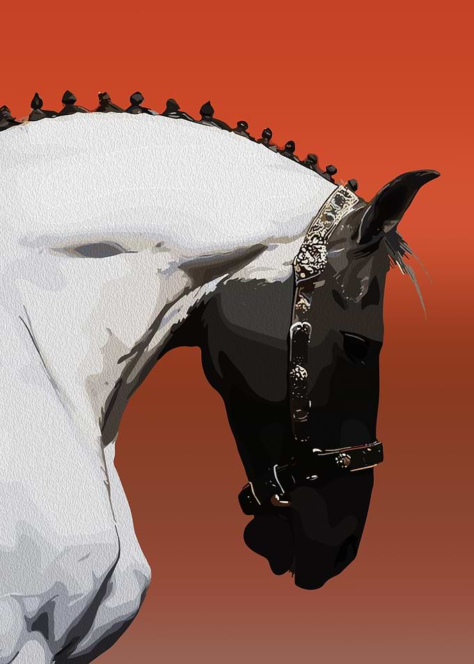 Horse Portrait