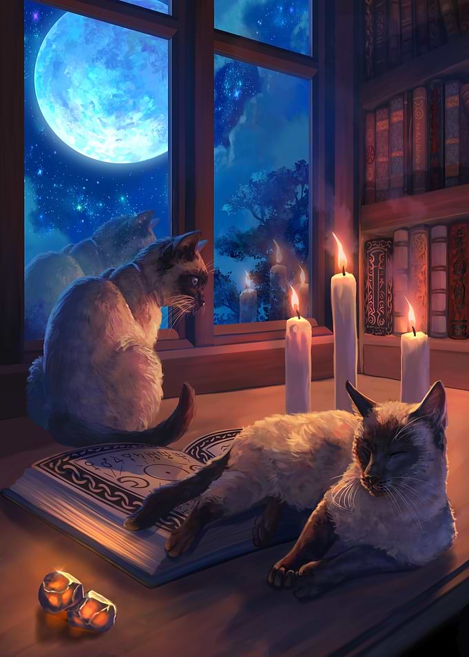 Astrological Cats