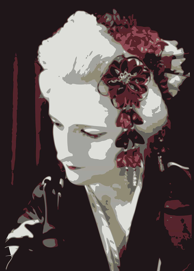 Portrait of a Contemporary Geisha