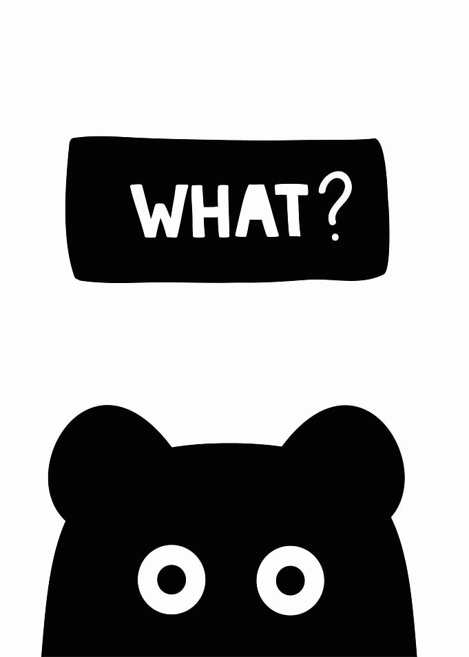 What? Bear Illustration