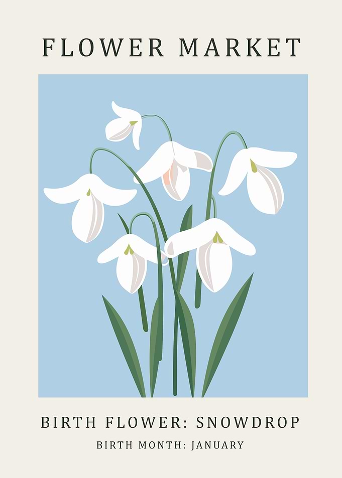Snowdrop Birth Flower
