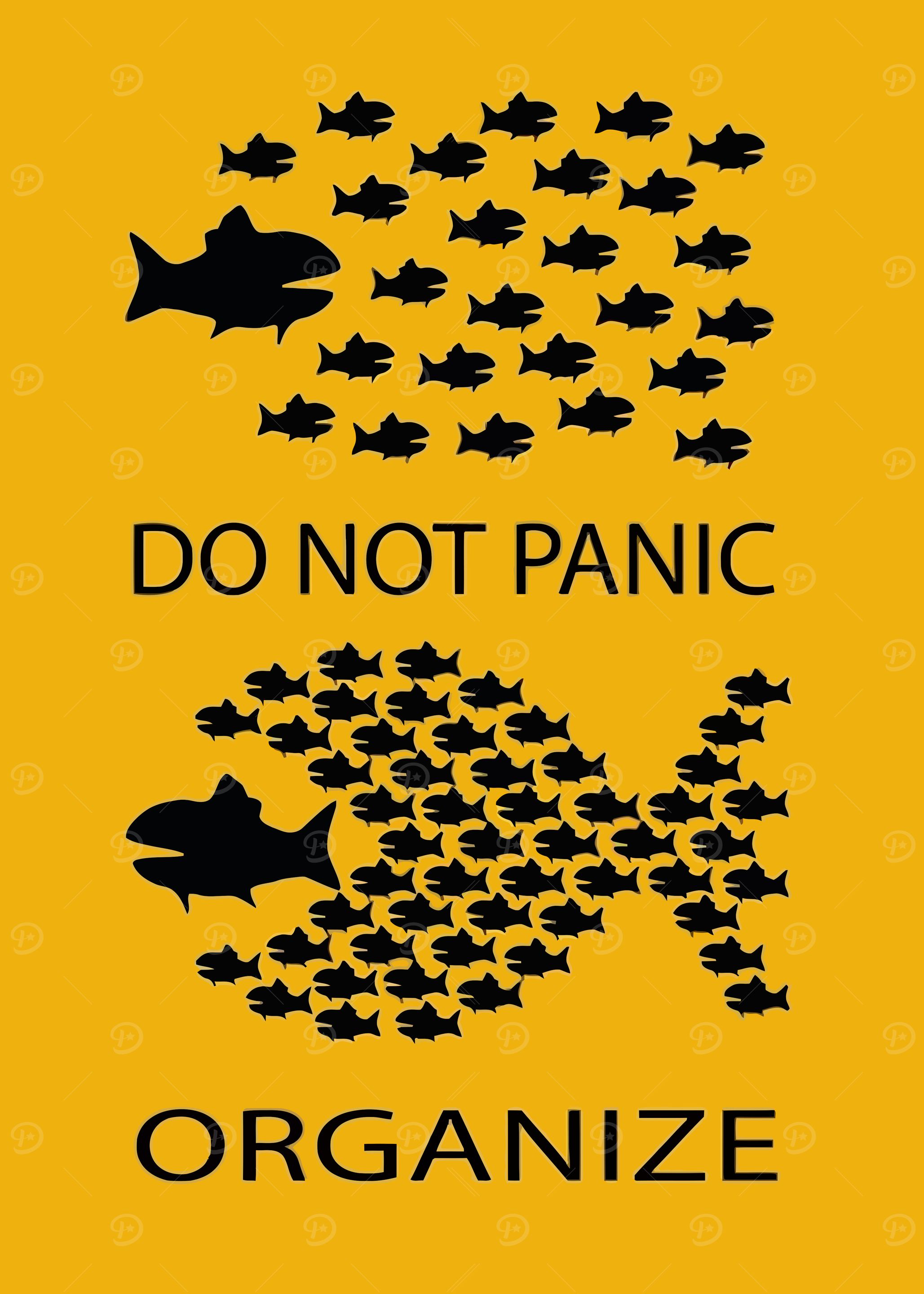 Organize, Don't Panic