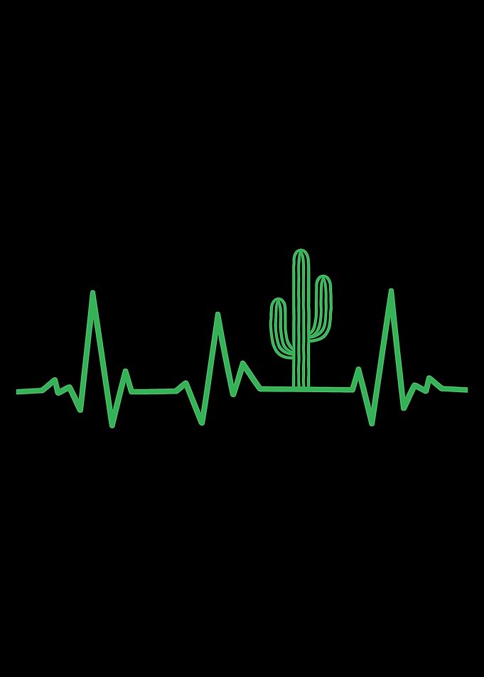 saguaro cactus desert plant cacti lovers heartbeat pattern cacti desert life nature plant lover, desert enthusiasts,