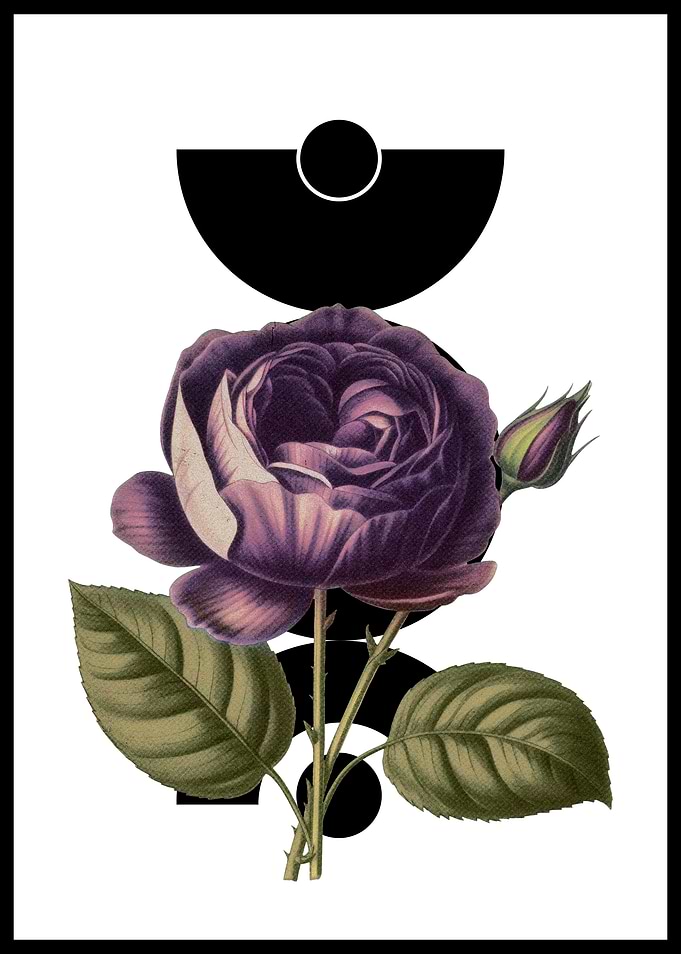 Purple Rose with Geometric Shapes