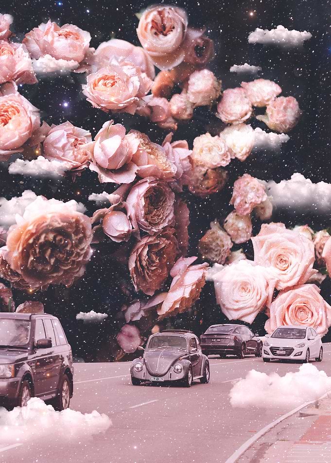 Rosy Road Trip