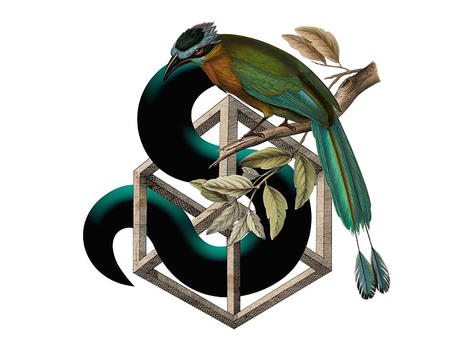 Bird and an Impossible Cube