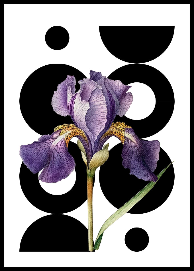 Purple Iris with Geometric Shapes