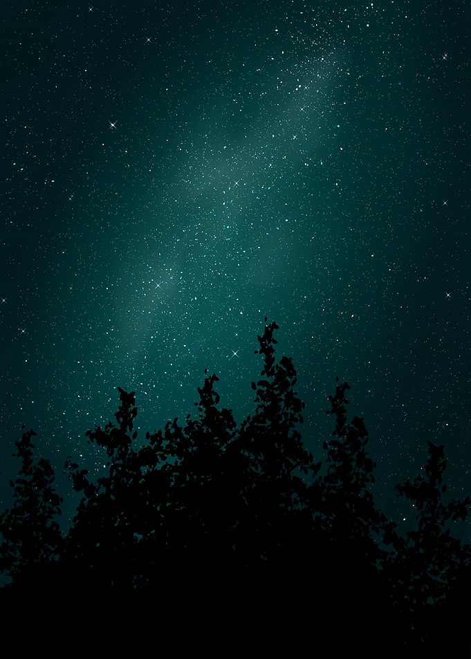 Starry Night Forest