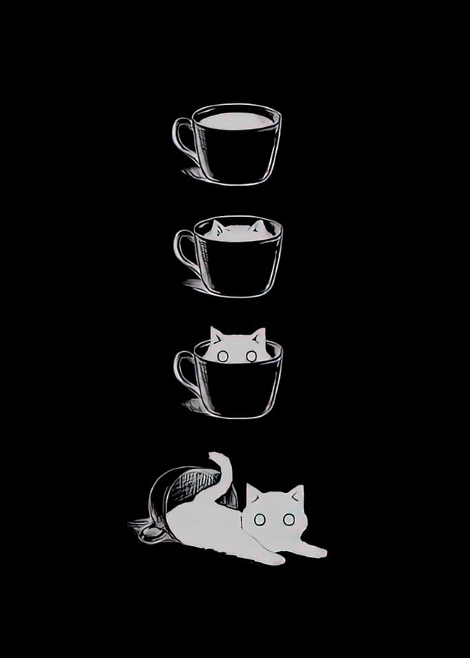 Cat in a Cup