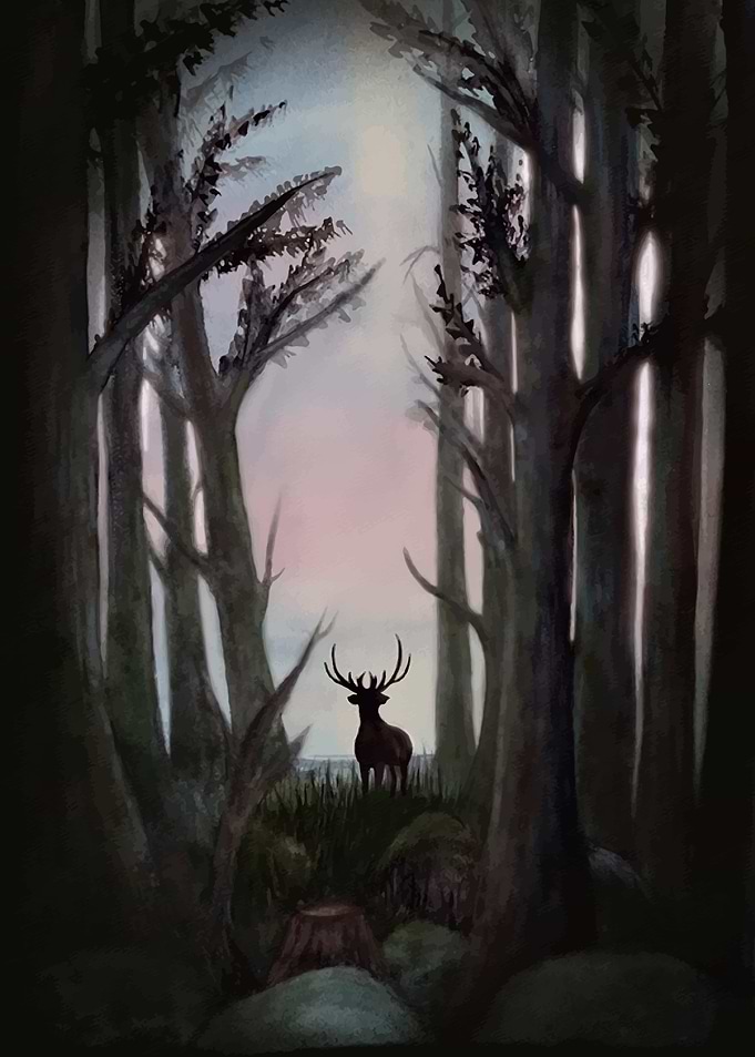 Silhouetted Deer in Forest