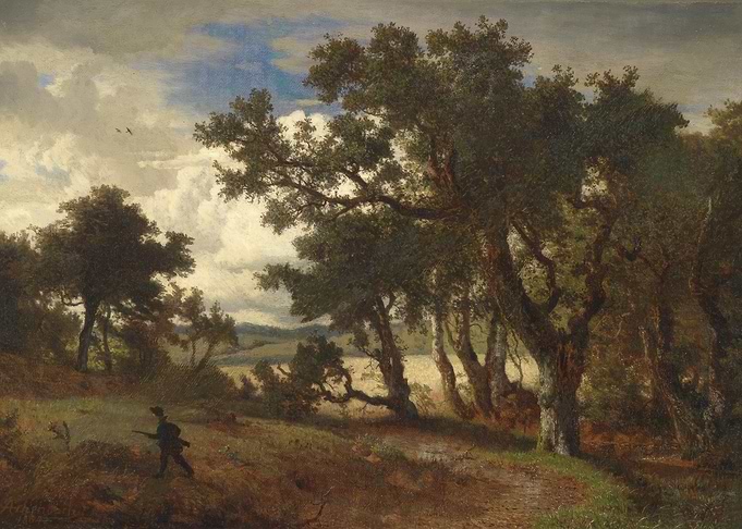 Forest Path Landscape