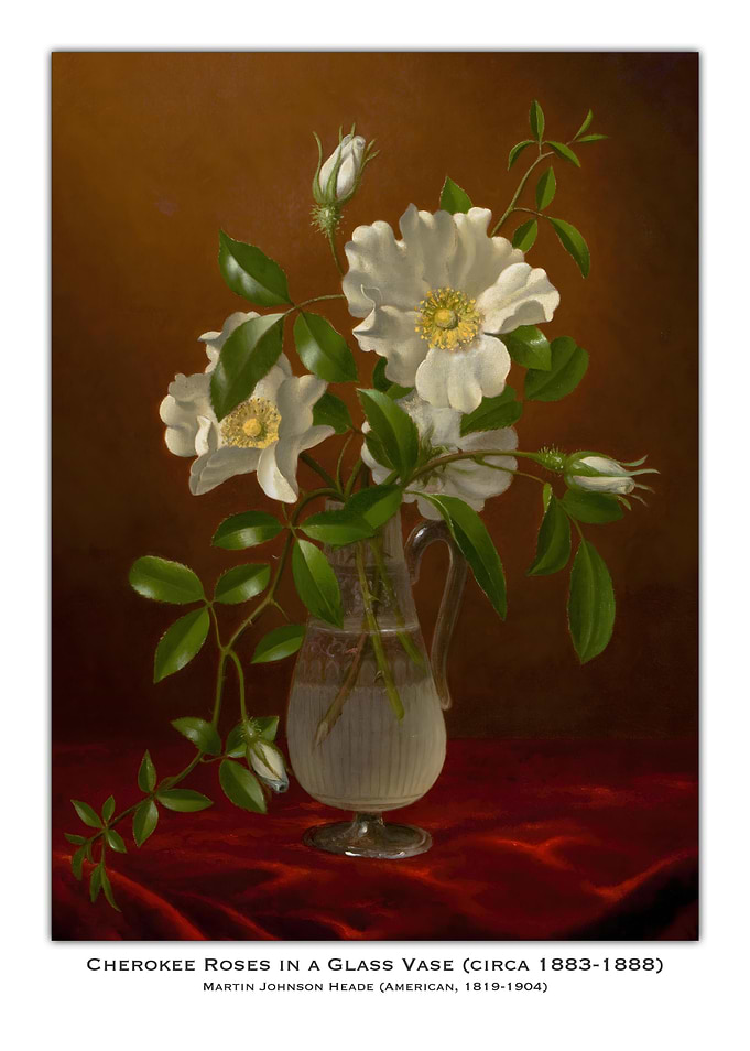 Cherokee Roses in Glass Vase
