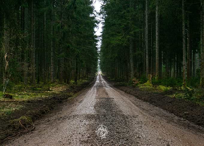 Forest Path