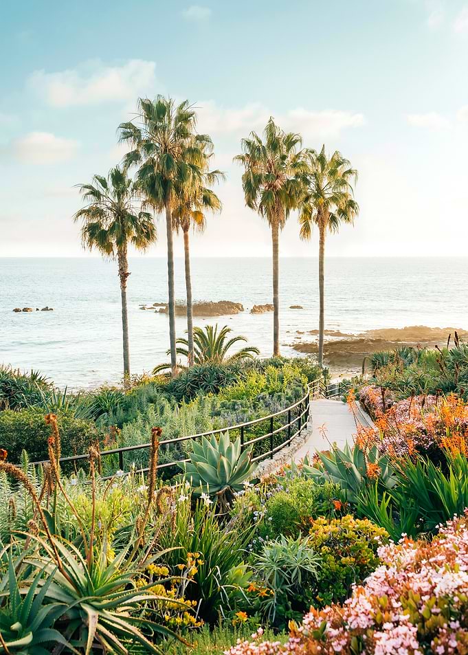 Beachside Bloom