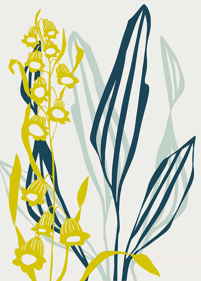 Nordic ease bellflower