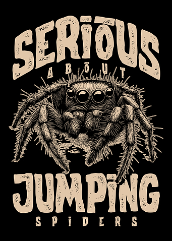 Jumping Spider Exotic Pet