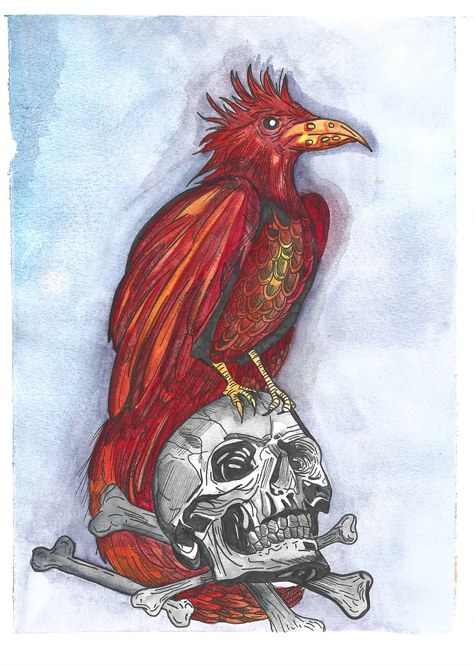 Phoenix on Skull