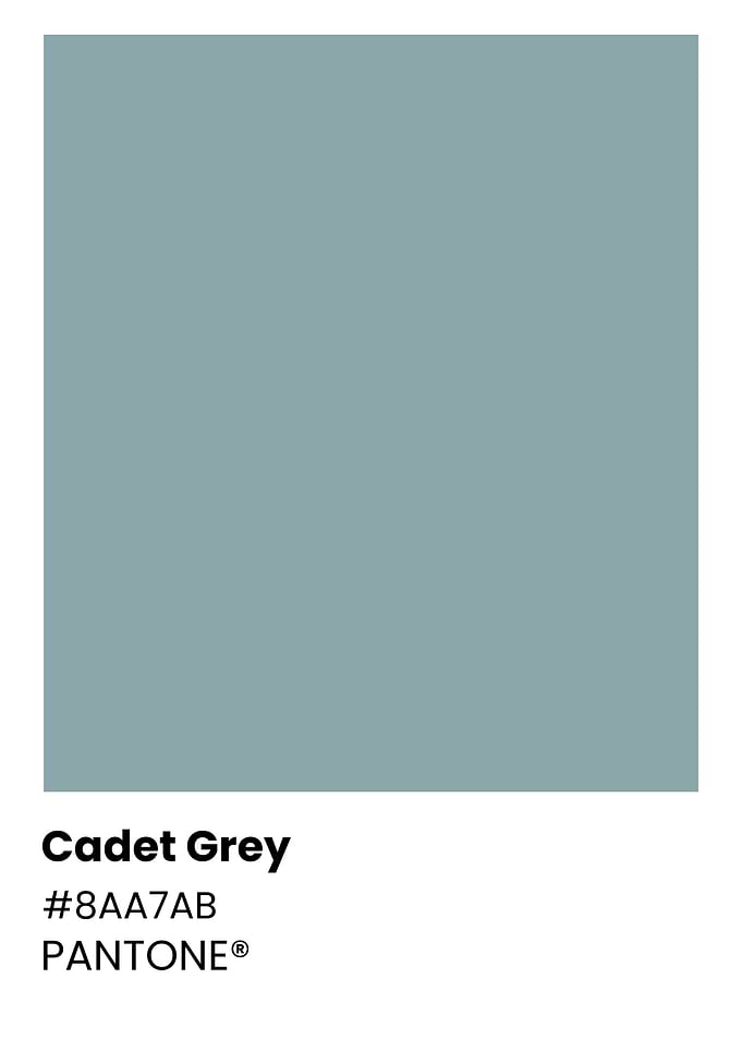 Cadet Grey Color Swatch