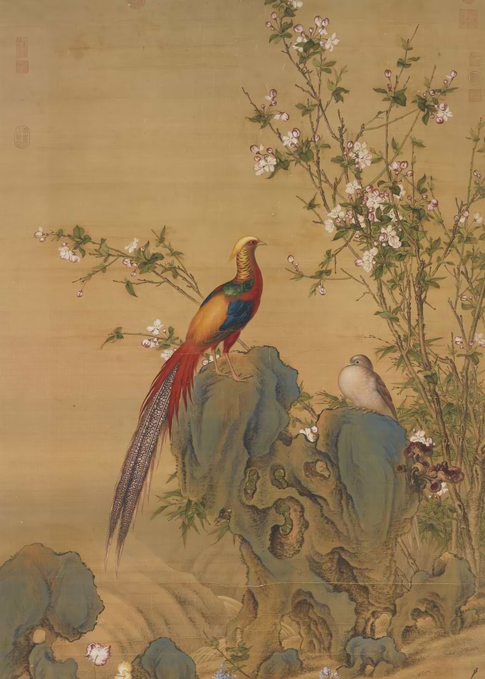 Golden Pheasant Painting