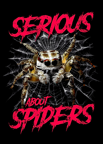 Serious About Spiders Jumping Spider