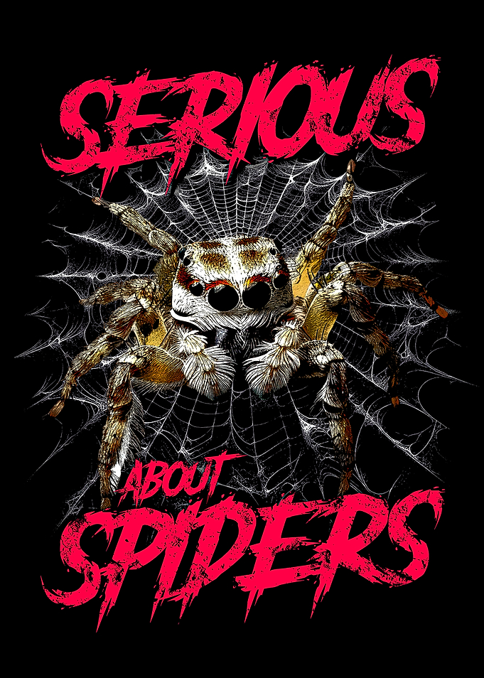 Serious About Spiders Jumping Spider