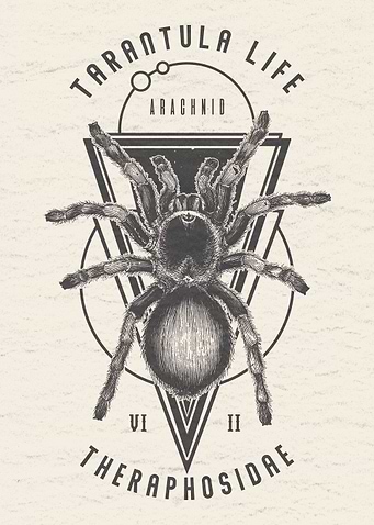 Tarantula Spider Abstract