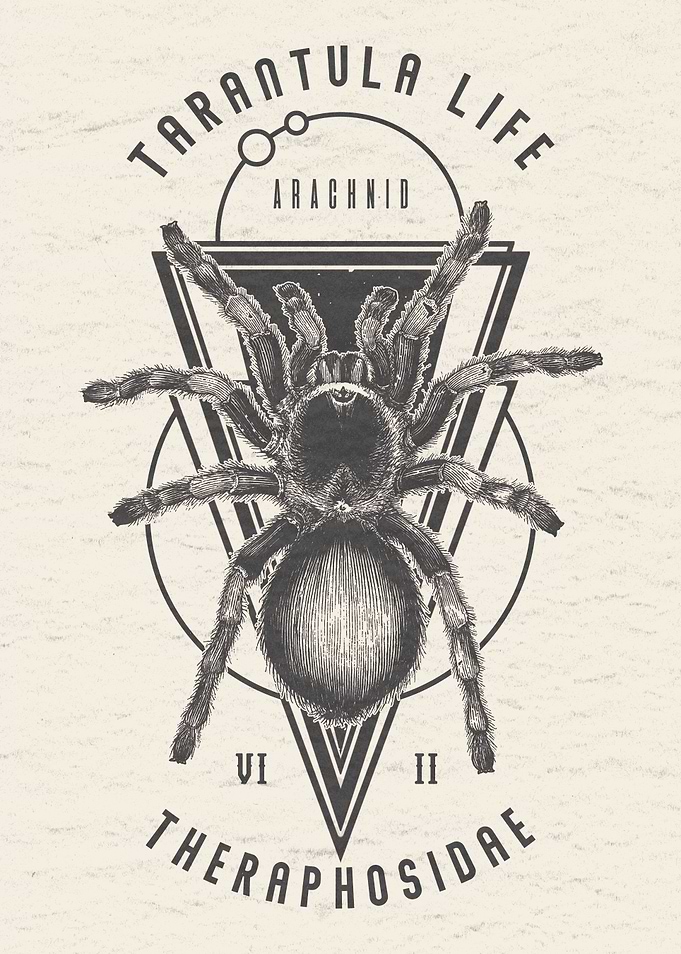Tarantula Spider Abstract