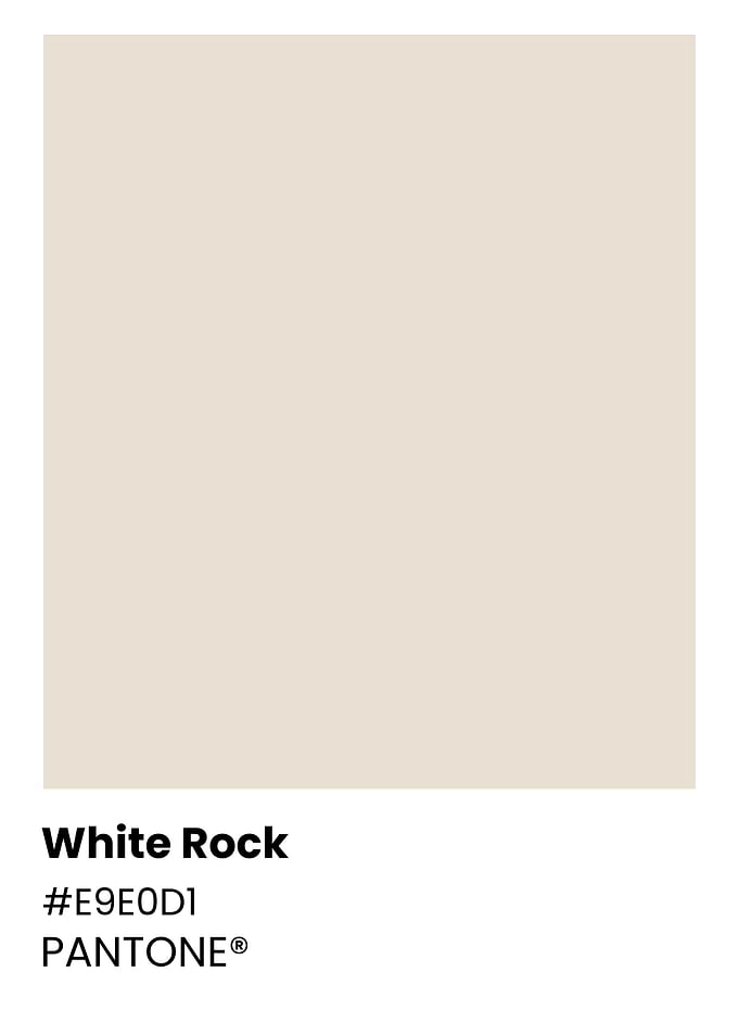 Pantone White Rock Color