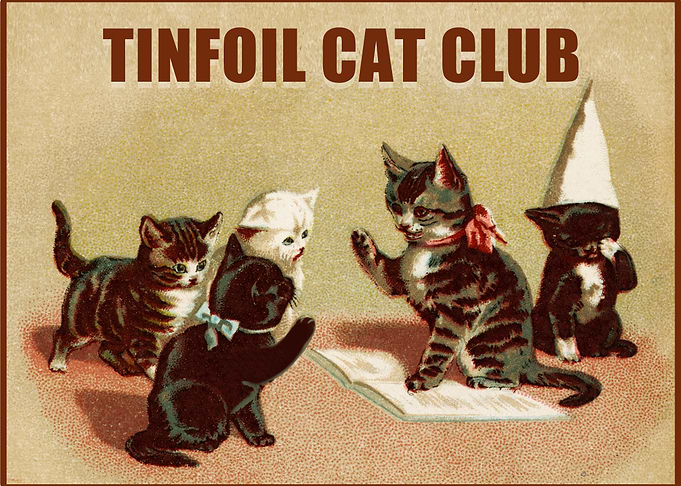 Tinfoil Cat Club
