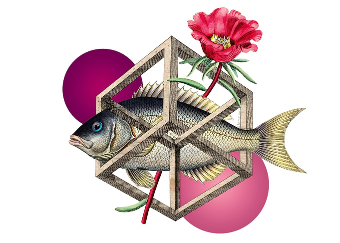 Fish in a Cube Impossible