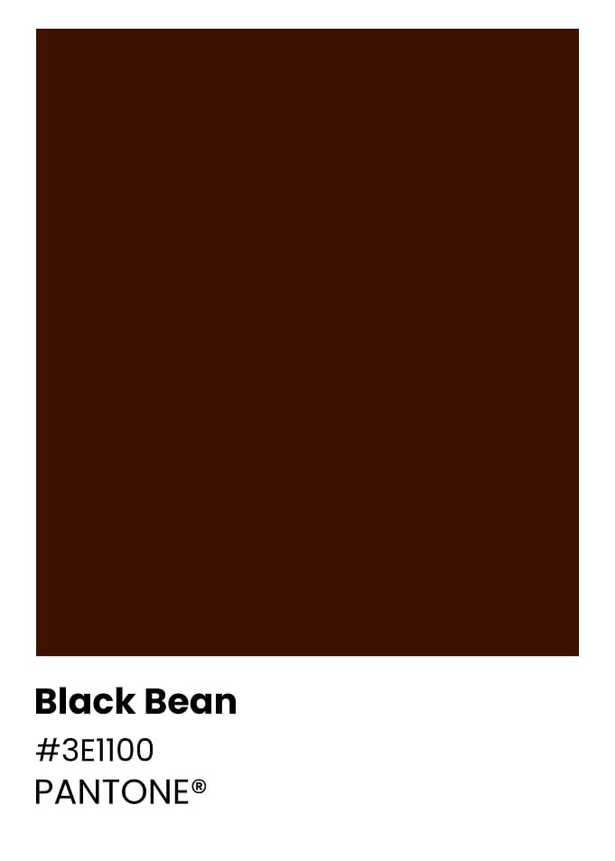Pantone Black Bean Color