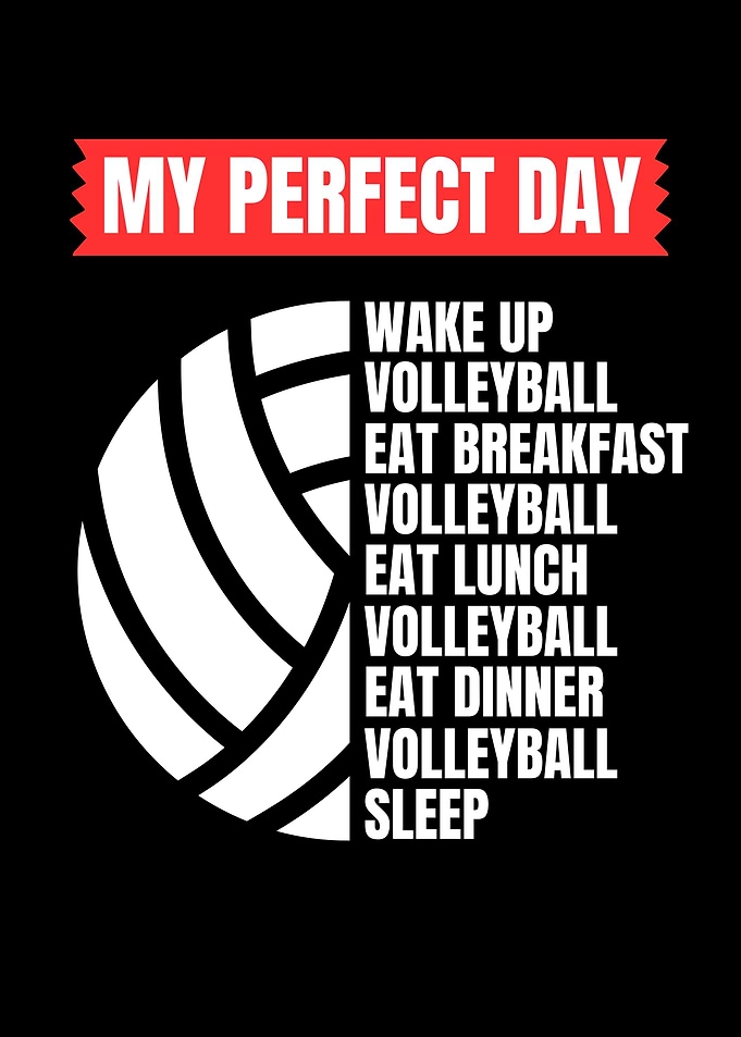 Funny Volleyball Quote