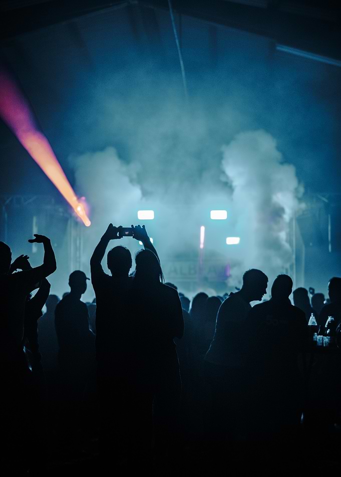 Concert Crowd Silhouettes