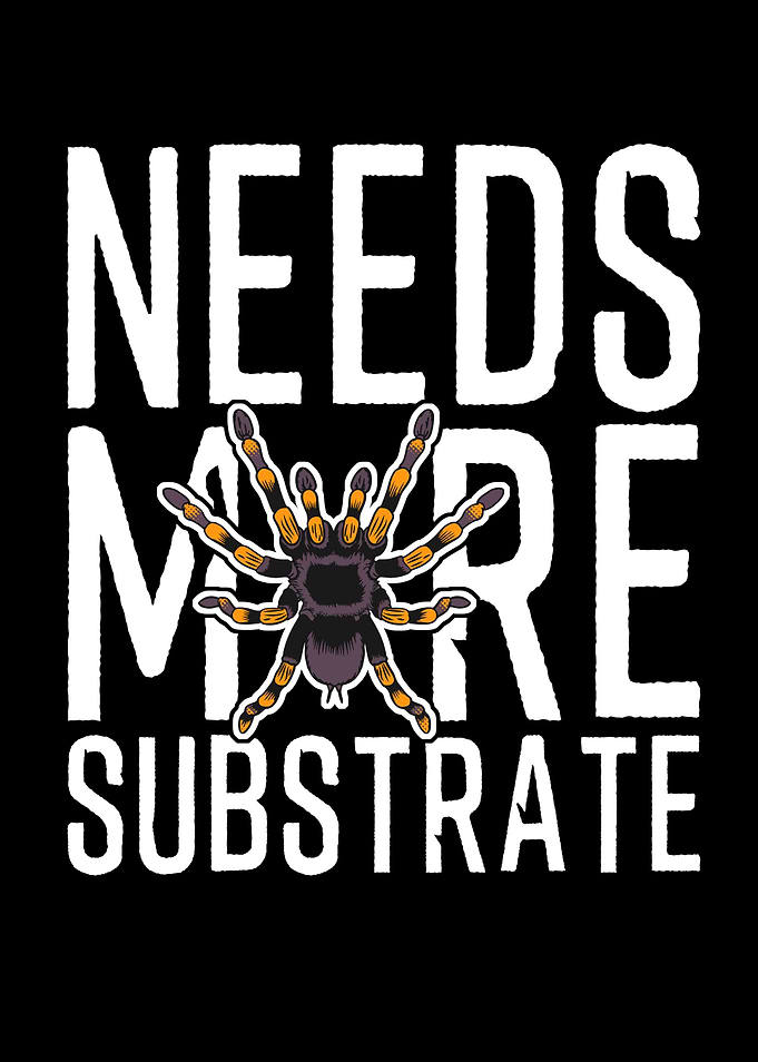 Spider Needs More Substrate