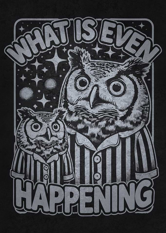What Is Even Happening – Funny Owl Adulting