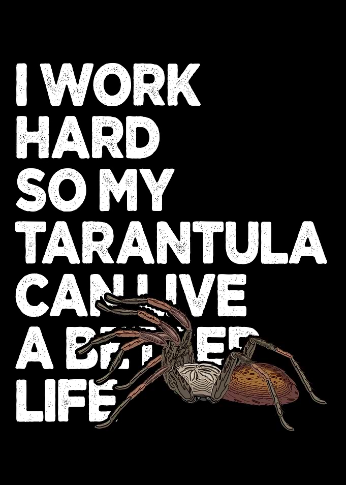 Tarantula Owner Funny