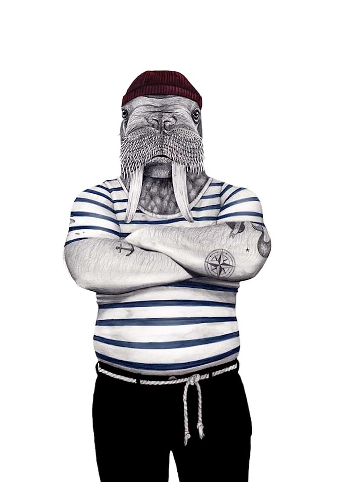 Walrus Sailor Illustration